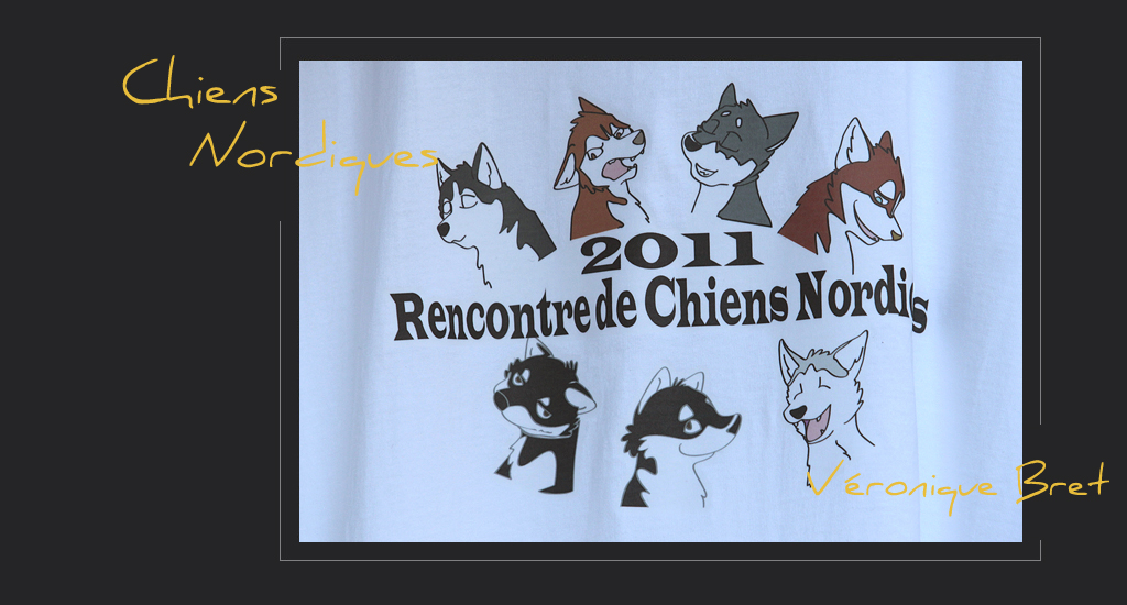 chien nordique